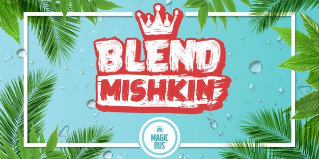 Blend Mishkin - Magic Bus