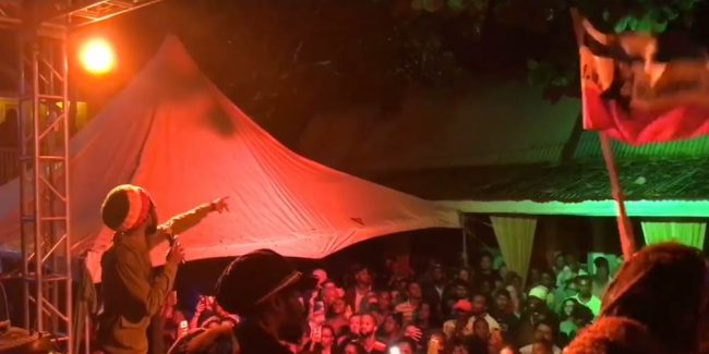 Dubwise Jamaica Reggae Revival
