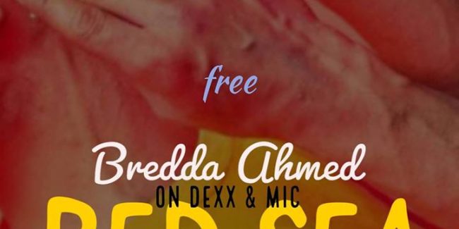 Bredda Ahmed on Dexx and mic In Red sea Reggae House
