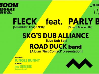 Fleck feat. Parly B - SKG 'S Dub Alliance - Road Duck band